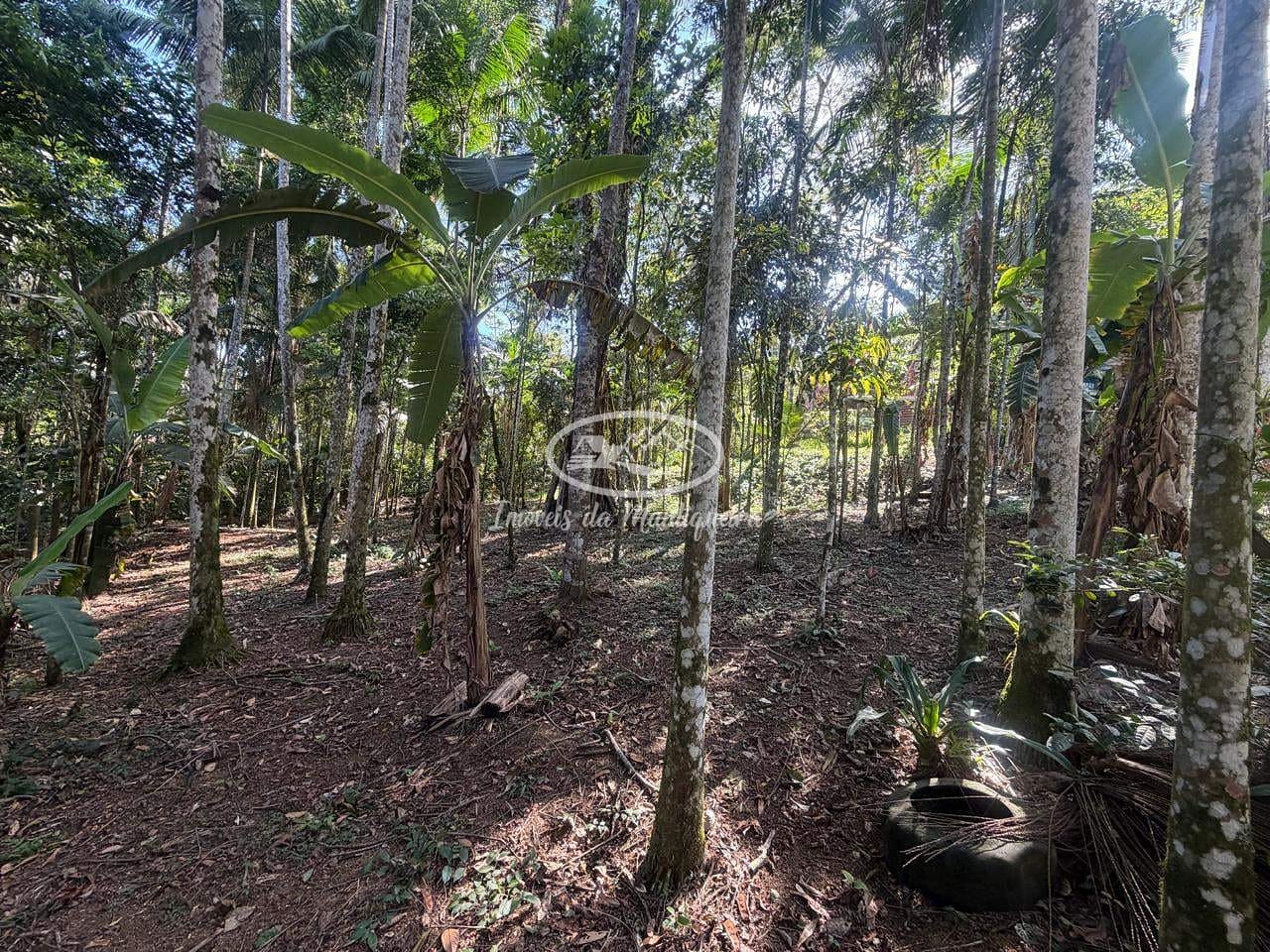 Terreno, 580 m² - Foto 6