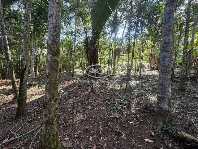 Terreno com 580m², à venda, no bairro Fazendinha (Penedo) em Itatiaia