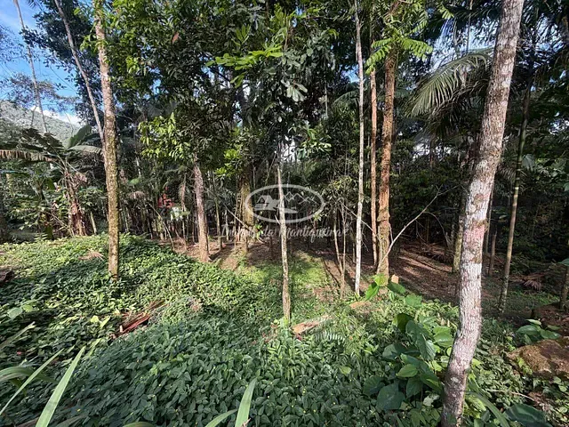 Terreno com 580m², à venda, no bairro Fazendinha (Penedo) em Itatiaia