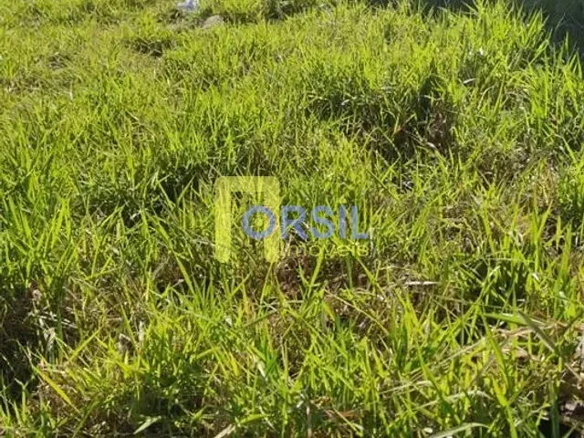 Terreno com 294m², à venda, no bairro Vila Nova Aparecida em Mogi das Cruzes