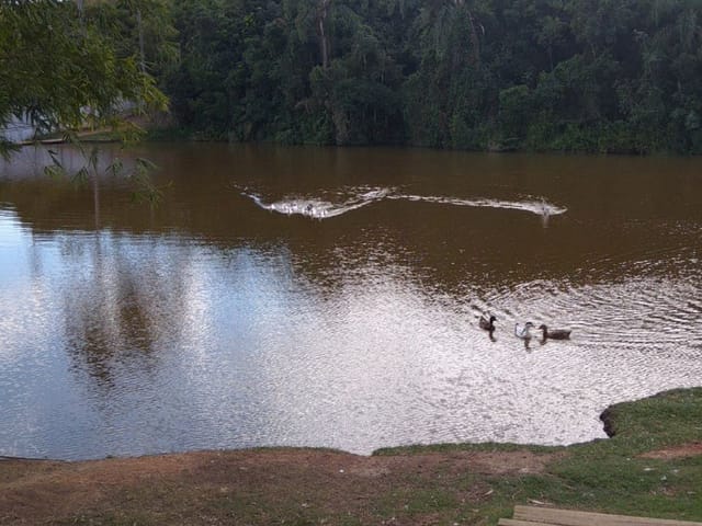 Foto do Terreno - Terreno Plano à venda no Condomínio Mirante do Vale, 1001 m² por R$ 520.000 - Parque Mirante Do Vale - Jacareí/SP | RUSSI IMÓVEIS