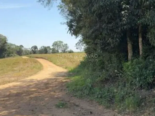Terreno com 302m², à venda, no bairro Zona Rural em Mandirituba