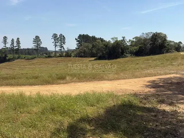 Terreno com 302m², à venda, no bairro Zona Rural em Mandirituba