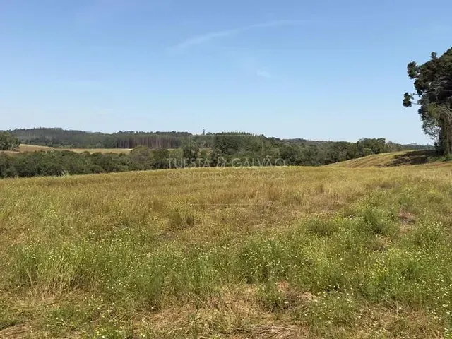 Terreno com 302m², à venda, no bairro Zona Rural em Mandirituba
