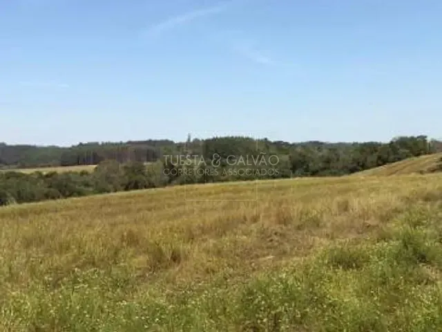 Terreno com 302m², à venda, no bairro Zona Rural em Mandirituba