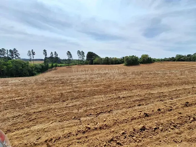 Terreno com 302m², à venda, no bairro Zona Rural em Mandirituba