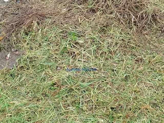 Terreno com 125m², à venda, no bairro Residencial e Comercial Portal dos Eucaliptos em Pindamonhangaba