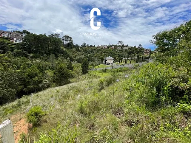 Terreno com 2517m², à venda, no bairro Alto do Capivari em Campos Do Jordão