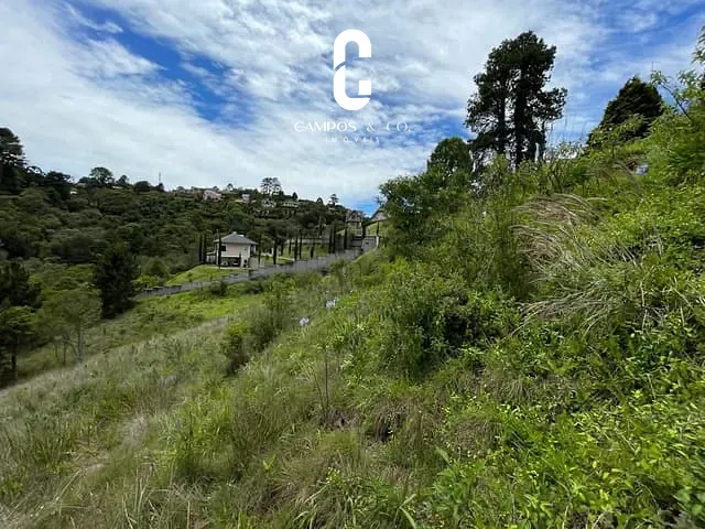 Terreno com 2517m², à venda, no bairro Alto do Capivari em Campos Do Jordão