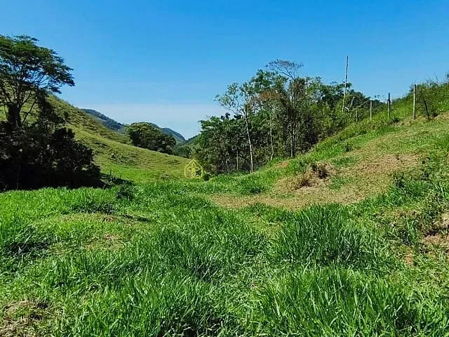 Terreno com 6000m², à venda, no bairro Lava Pés em Passa Vinte