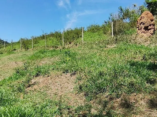 Terreno com 6000m², à venda, no bairro Lava Pés em Passa Vinte