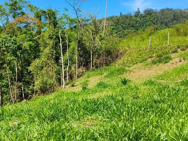 Terreno com 6000m², à venda, no bairro Lava Pés em Passa Vinte