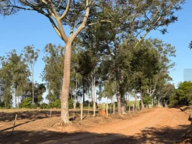 Terreno com 108900m², à venda, no bairro Bairro dos Palanques em Tatuí