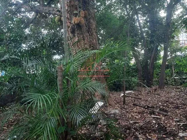 Terreno com 1050m², à venda, no bairro Jardim Iracema/Aldeia em Barueri
