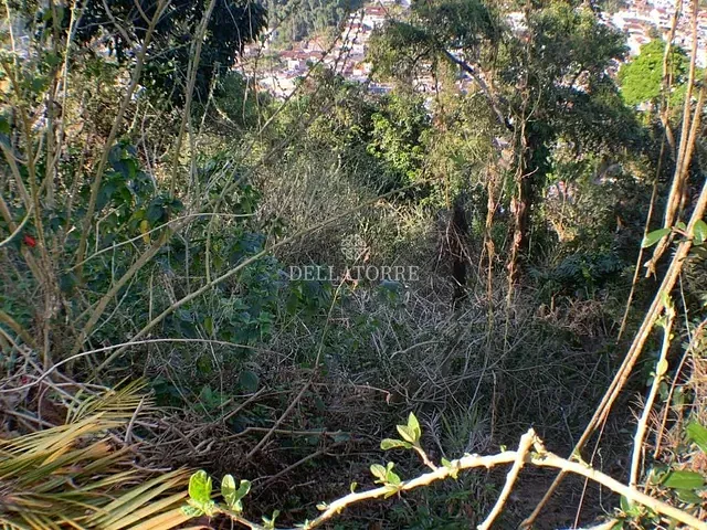 Terreno com 658m², à venda, no bairro Tijuca em Teresópolis