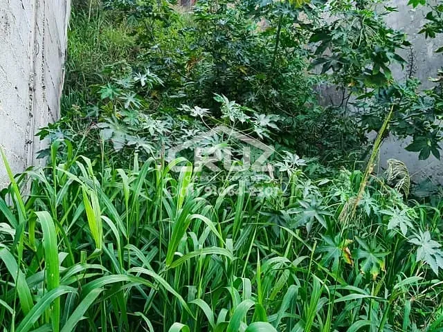 Terreno com 125m², à venda, no bairro Serpa em Caieiras