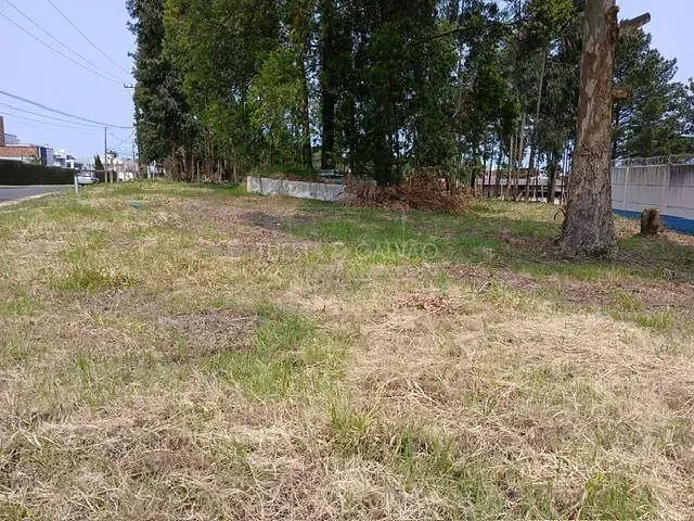 Terreno com 934m², à venda, no bairro Jardim Carvalho em Ponta Grossa