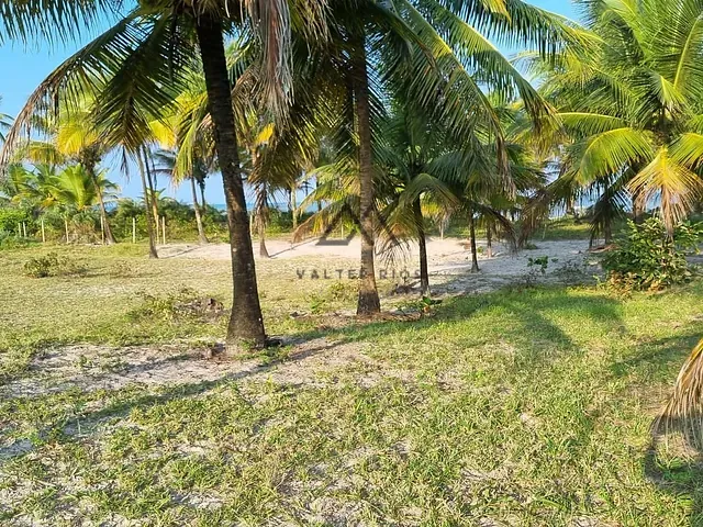 Terreno com 6000m², à venda, no bairro Olivença em Ilhéus