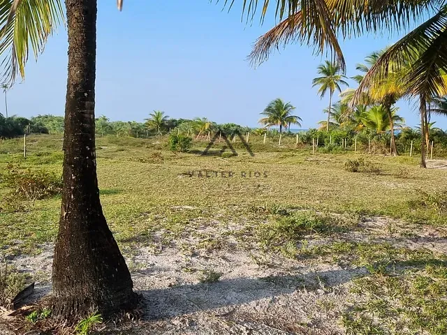 Terreno com 6000m², à venda, no bairro Olivença em Ilhéus