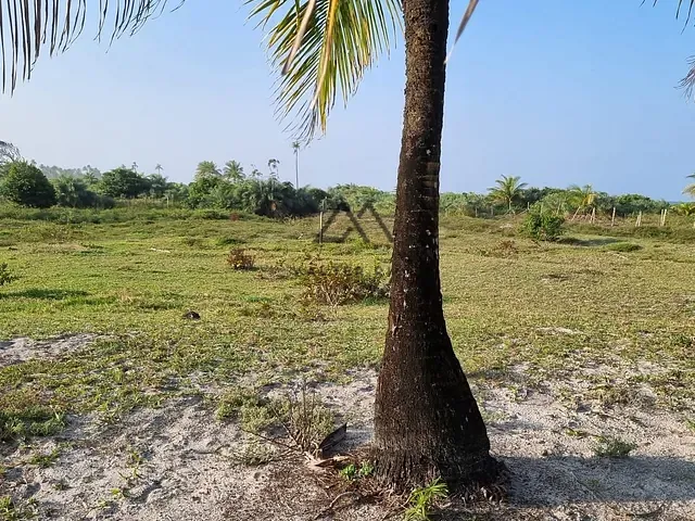 Terreno com 6000m², à venda, no bairro Olivença em Ilhéus