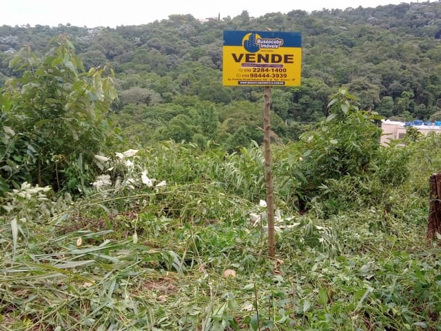 Foto do Terreno - Terreno à venda 250M², Jardim Paula, Santana de Parnaíba - SP | BUSSOCABA ADMINISTRACAO DE BENS E IMOVEIS LTDA