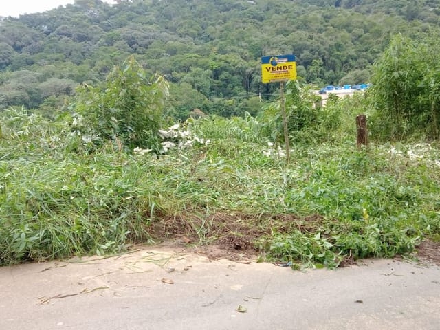 Foto do Terreno - Terreno à venda 250M², Jardim Paula, Santana de Parnaíba - SP | BUSSOCABA ADMINISTRACAO DE BENS E IMOVEIS LTDA