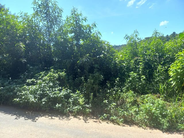 Foto do Terreno - Terreno à venda 250M², Jardim Paula, Santana de Parnaíba - SP | BUSSOCABA ADMINISTRACAO DE BENS E IMOVEIS LTDA