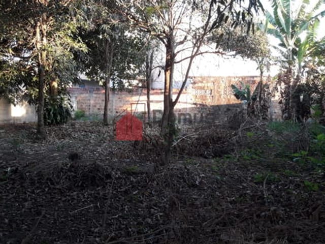 Terreno à venda, no bairro Alto do Cardoso em Pindamonhangaba