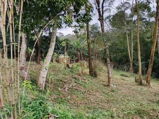 Terreno com 3390m², à venda, no bairro Alpes Paulista (Mailasqui) em São Roque