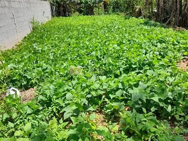 Terreno com 3390m², à venda, no bairro Alpes Paulista (Mailasqui) em São Roque