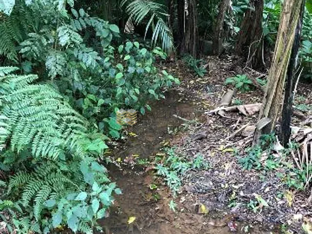 Terreno com 3390m², à venda, no bairro Alpes Paulista (Mailasqui) em São Roque