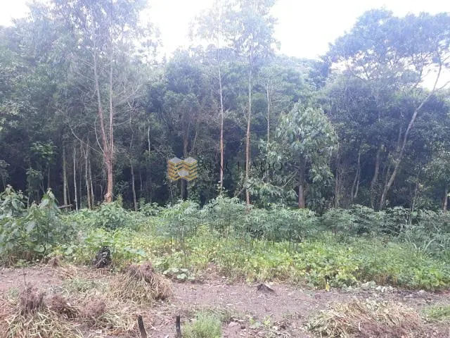 Terreno com 3390m², à venda, no bairro Alpes Paulista (Mailasqui) em São Roque