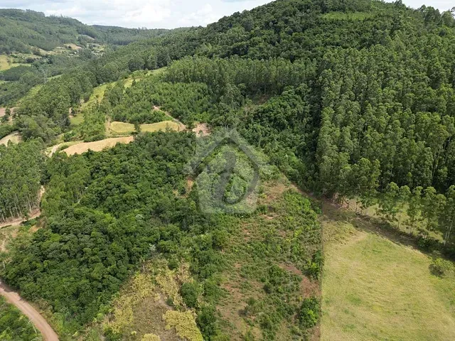 Terreno com 20000m², à venda, no bairro Linha Catarina em Teutônia