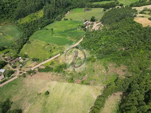 Terreno com 20000m², à venda, no bairro Linha Catarina em Teutônia