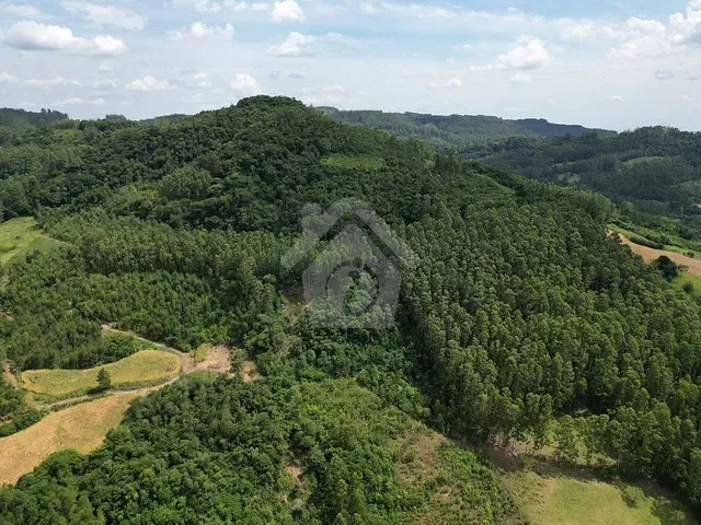 Terreno com 20000m², à venda, no bairro Linha Catarina em Teutônia