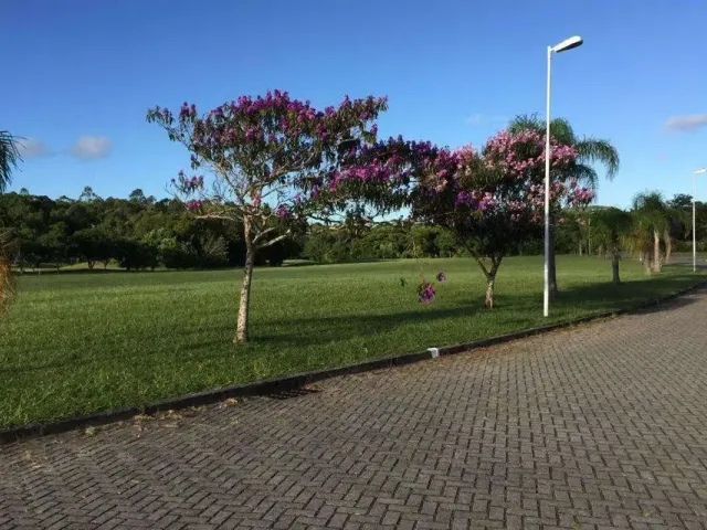 Terreno com 1100m², à venda, no bairro Ingleses do Rio Vermelho em Florianópolis