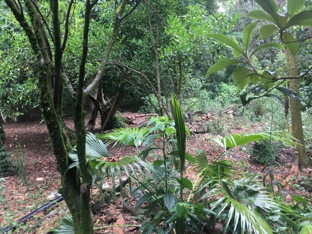 Terreno com 29774m², à venda, no bairro Bela Vista em Pindamonhangaba