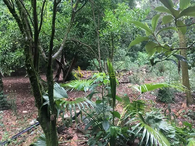 Terreno com 29774m², à venda, no bairro Bela Vista em Pindamonhangaba