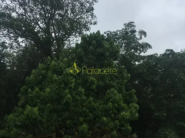Terreno com 29774m², à venda, no bairro Bela Vista em Pindamonhangaba