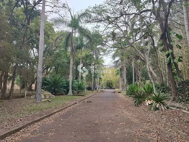 Terreno com 250000m², à venda, no bairro Paraiba do Sul em Paraíba do Sul