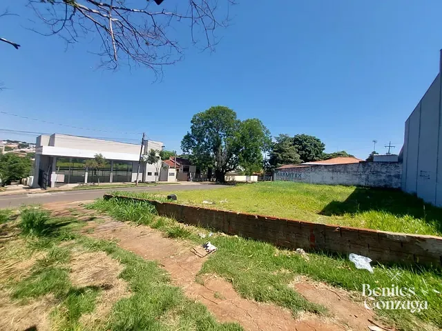 Terreno com 375m², à venda, no bairro Parque Palmeiras em Maringá