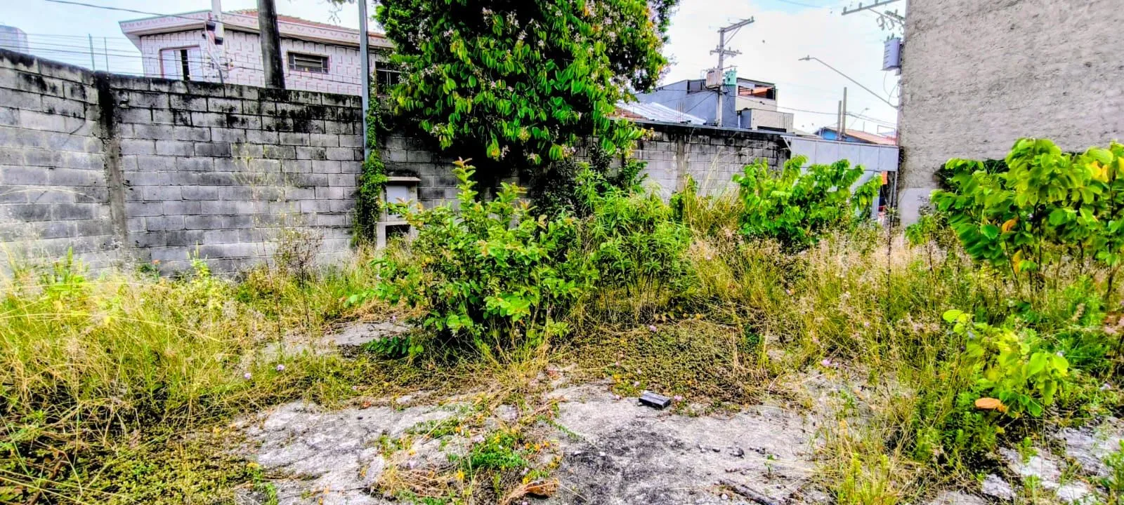 Terreno - Industrial Plano à venda  440 m² Centro, São Caetano do Sul - SP