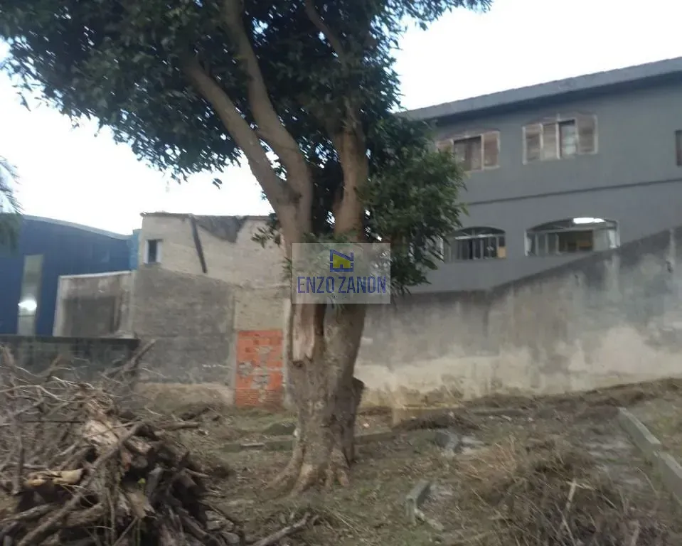 Terreno, 1465 m² - Foto 12