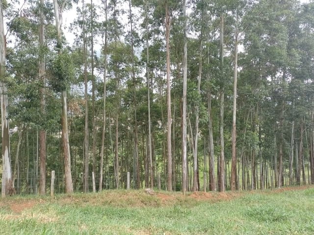 Terreno com 48m², à venda, no bairro A Definir em Cambuí