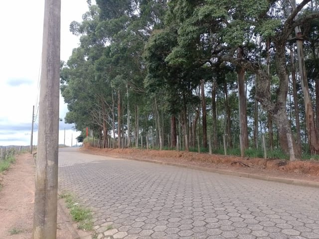 Terreno com 48m², à venda, no bairro A Definir em Cambuí