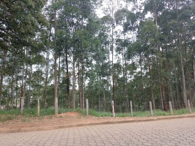 Terreno com 48m², à venda, no bairro A Definir em Cambuí