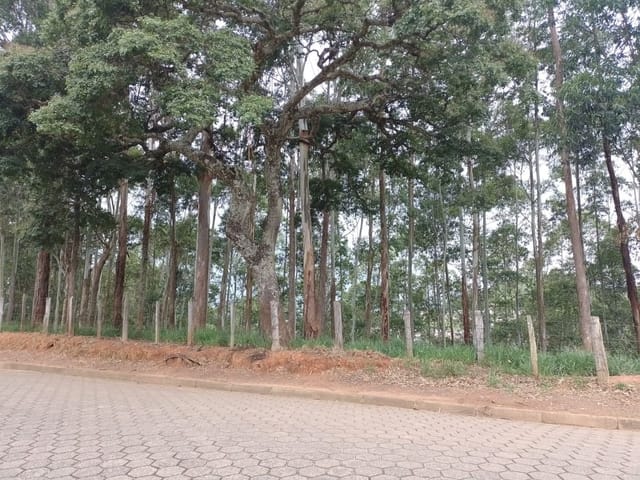 Terreno com 48m², à venda, no bairro A Definir em Cambuí