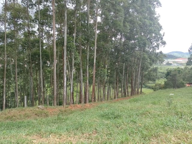 Terreno com 48m², à venda, no bairro A Definir em Cambuí