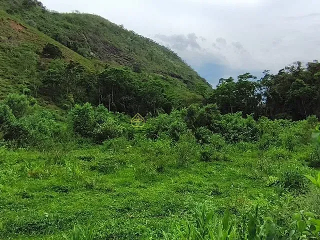 Terreno com 1200m², à venda, no bairro Centro em Passa Vinte