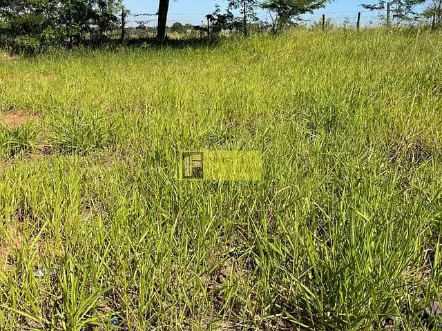 Terreno com 200m², à venda, no bairro Loteamento Horizonte em São José do Rio Preto